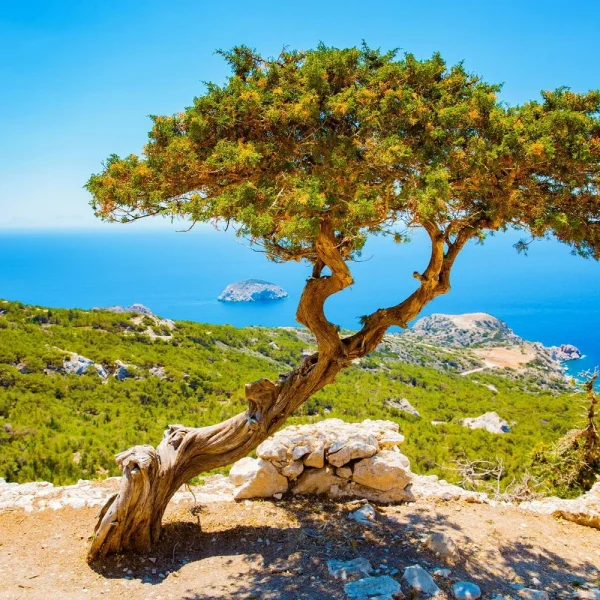 Flugreise nach Rhodos - der Perle der Ägäis