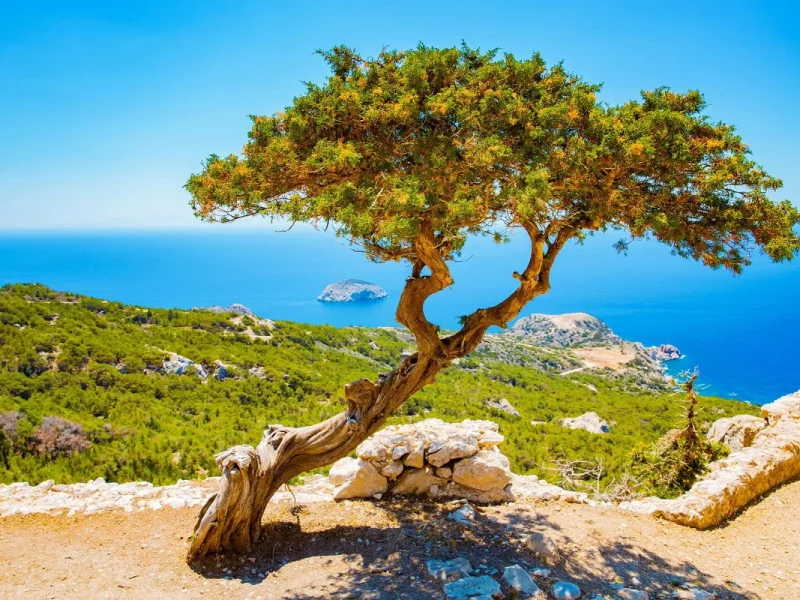 Flugreise nach Rhodos - der Perle der Ägäis