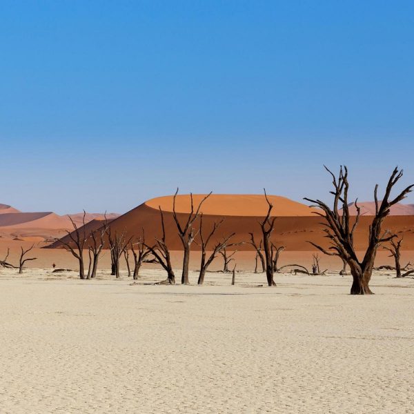 Rundreise durch den Westen der USA: Death Valley