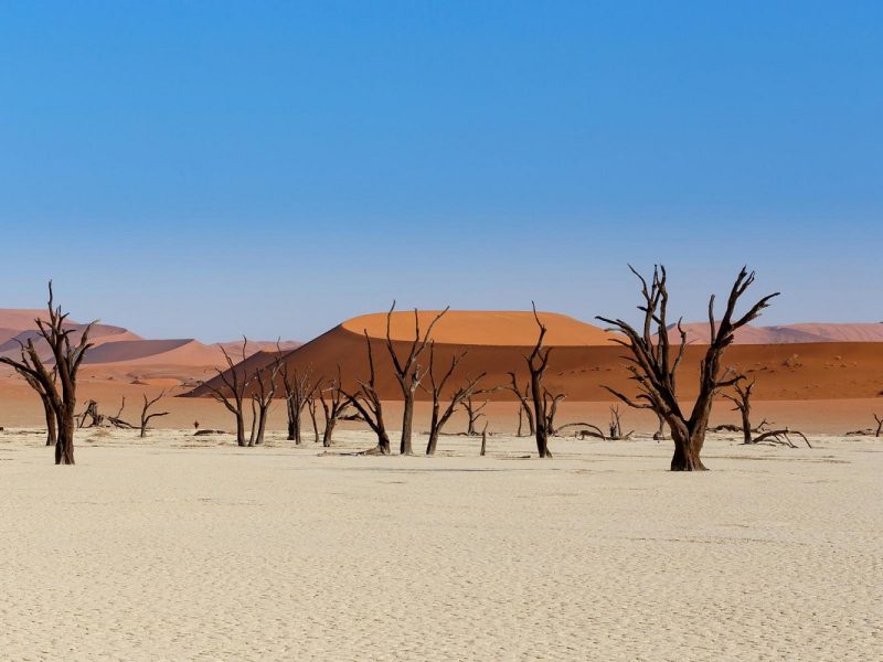 Rundreise durch den Westen der USA: Death Valley