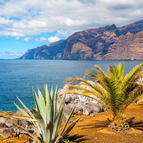 Naturerlebnisse und Gärten auf Teneriffa
