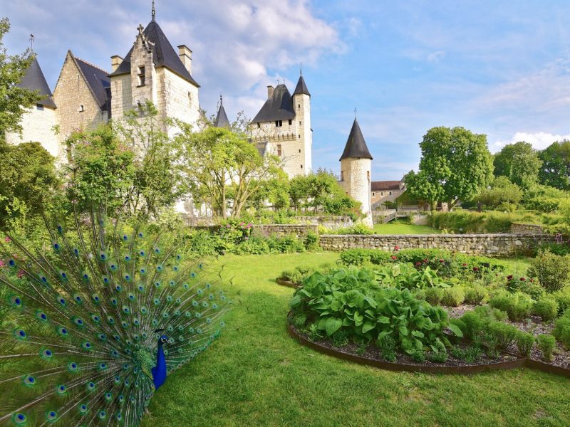 Schlösser und Gärten der Loire