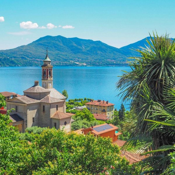 Kamelienblüte am Lago Maggiore