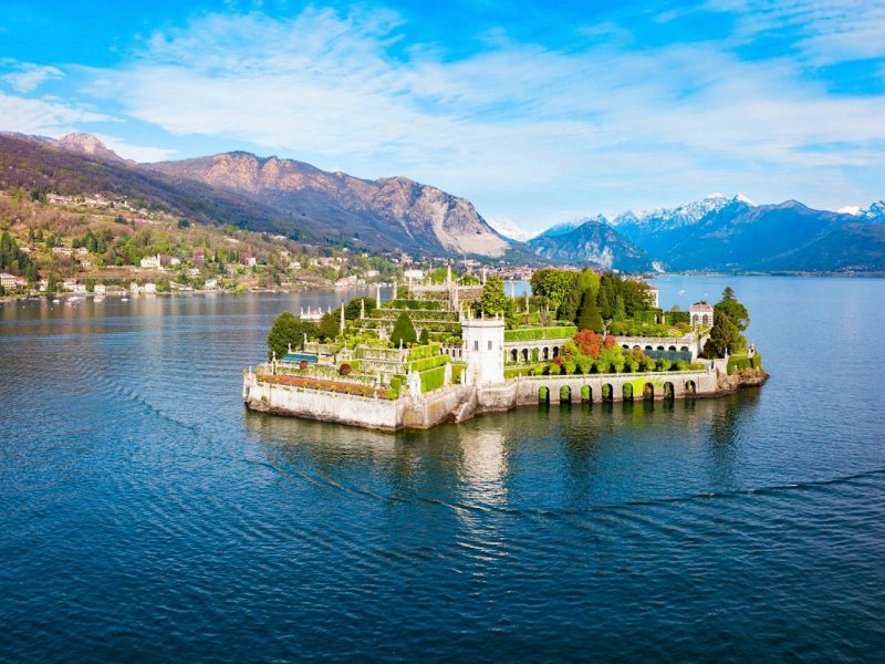 Kamelienblüte am Lago Maggiore