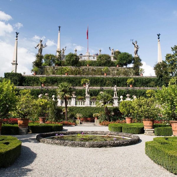 Kamelienblüte am Lago Maggiore