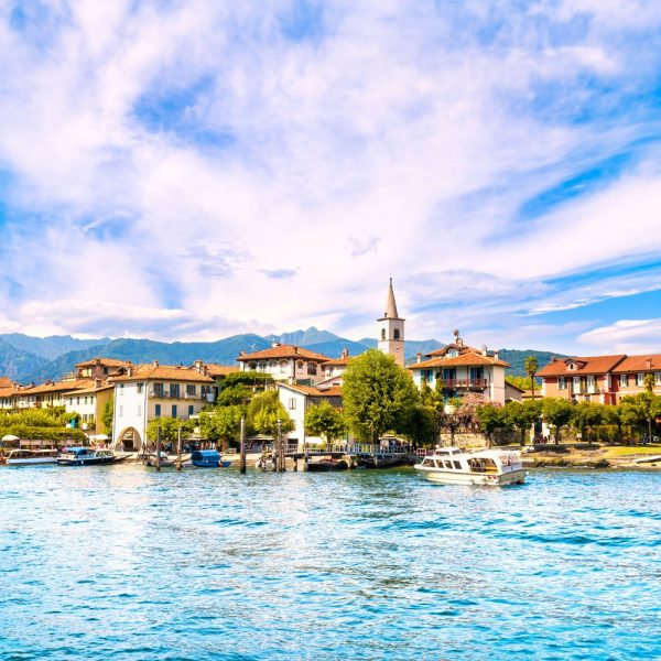 Kamelienblüte am Lago Maggiore