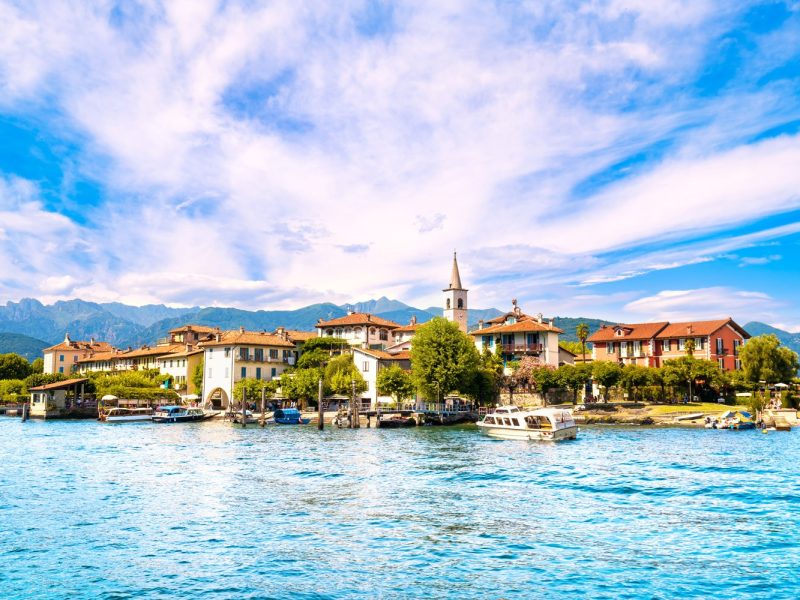 Kamelienblüte am Lago Maggiore