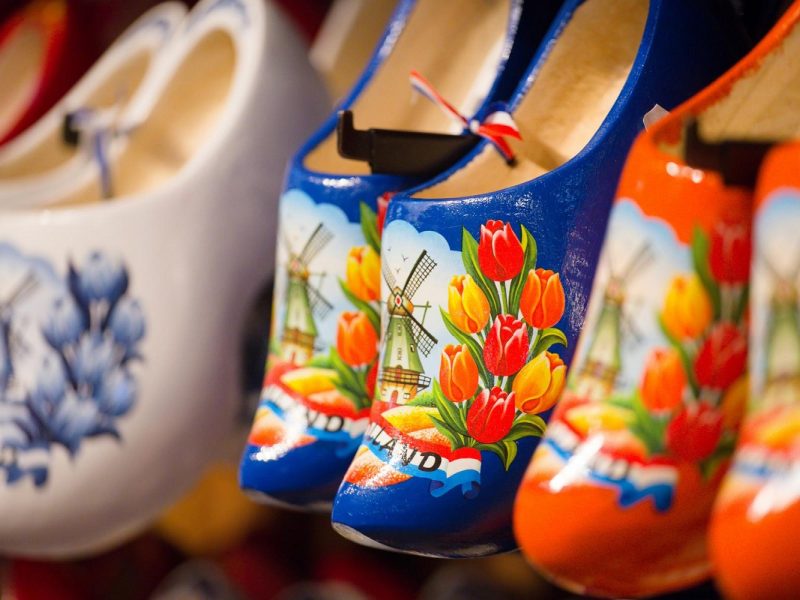 Busreise zur Tulpenblüte nach Holland