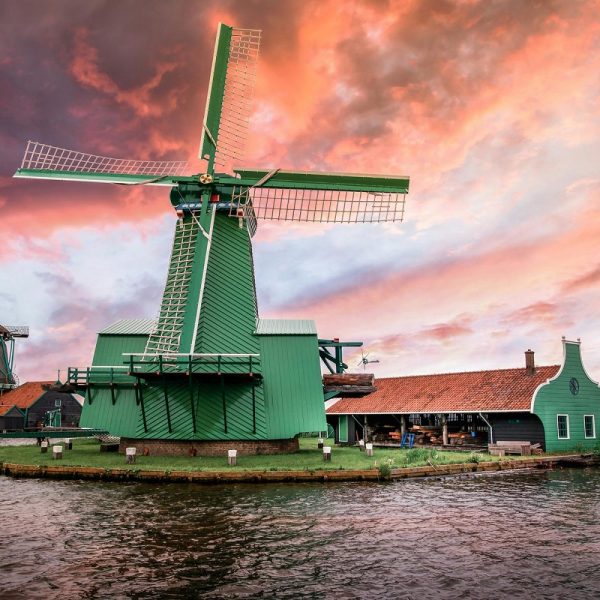 Busreise zur Tulpenblüte nach Holland