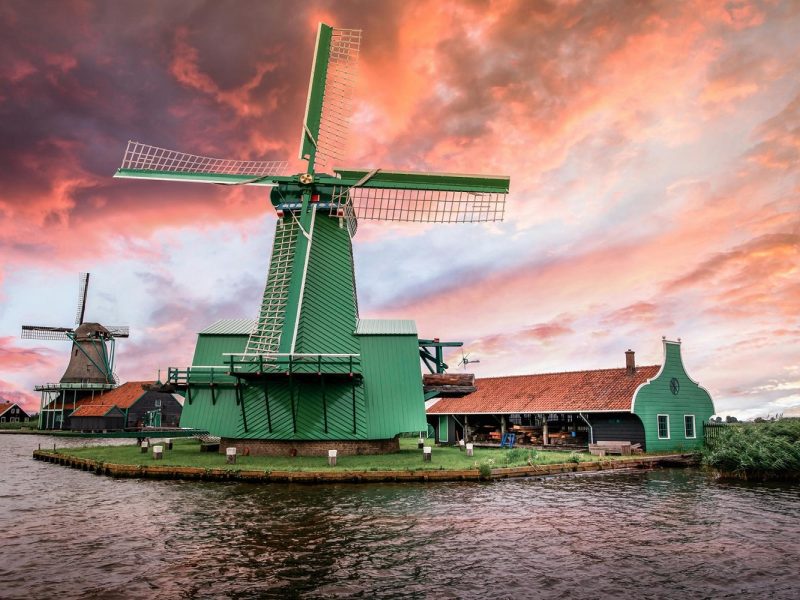 Busreise zur Tulpenblüte nach Holland