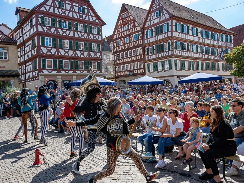 Busreise Straßenfestival in Mosbach © Thomas Kottal