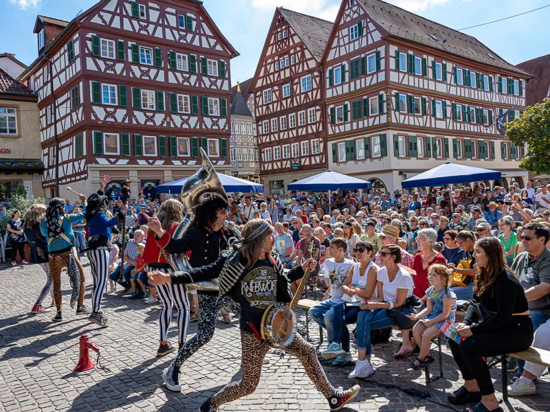 Busreise Straßenfestival in Mosbach © Thomas Kottal