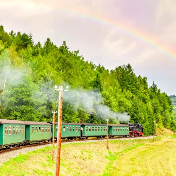 Tagesfahrt Fichtelbergbahn und Kaffeegedeck im Jens Weißflog Restaurant - Fichtelbergbahn im Erzgebirge