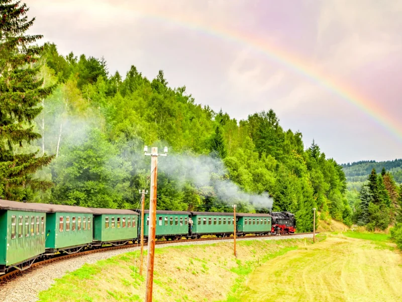 Tagesfahrt Fichtelbergbahn und Kaffeegedeck im Jens Weißflog Restaurant - Fichtelbergbahn im Erzgebirge