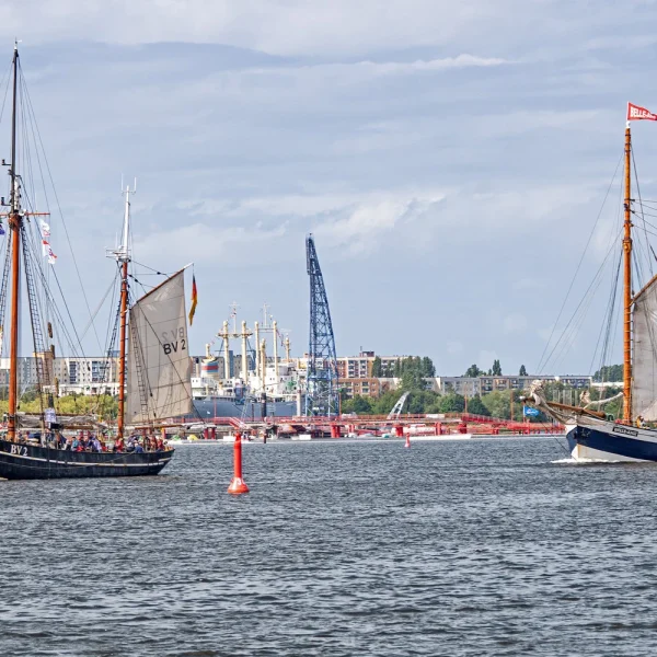Busreise Hanse Sail in Rostock - Warnemünde: Ausfahrten zur Hanse Sail © TZRW - Berthold Brinkmann