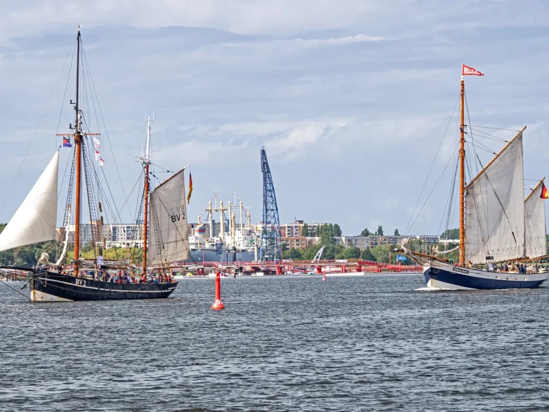 Busreise Hanse Sail in Rostock - Warnemünde: Ausfahrten zur Hanse Sail © TZRW - Berthold Brinkmann