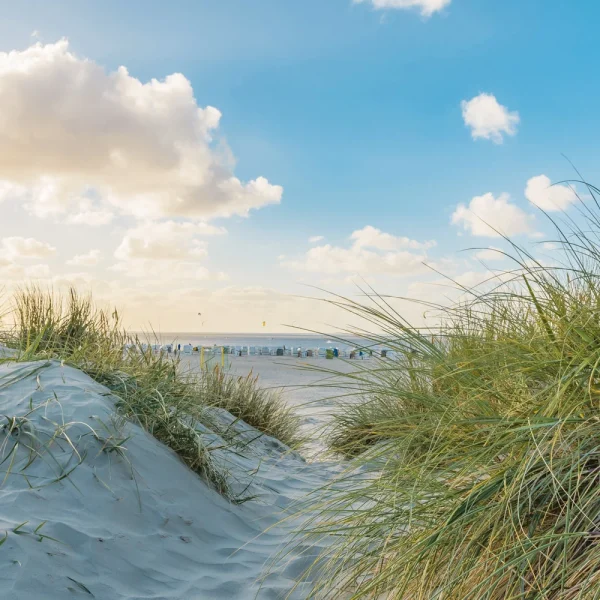 Busreise Krimi-Tour Ostfriesland © pixabay