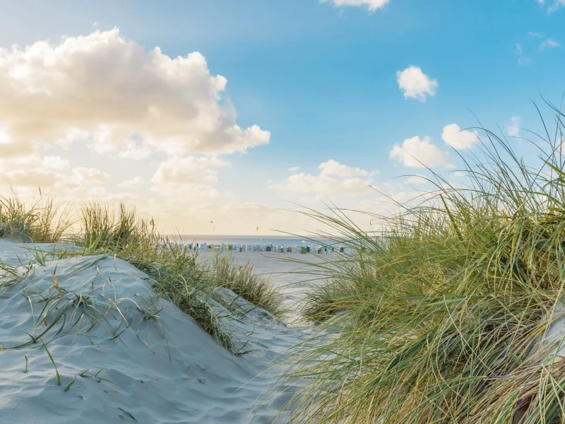 Busreise Krimi-Tour Ostfriesland © pixabay