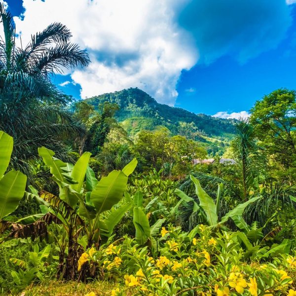 Baobabs und Lemuren - Madagaskar entdecken