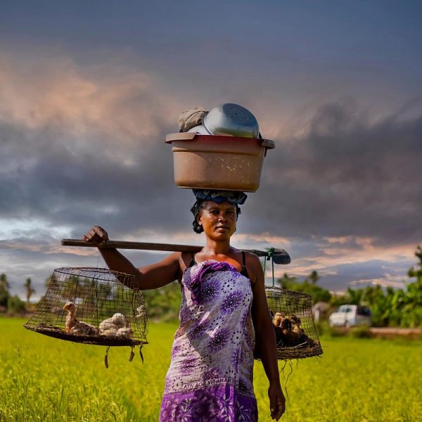 Baobabs und Lemuren - Madagaskar entdecken