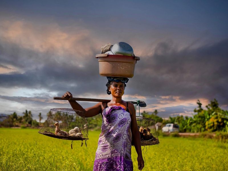 Baobabs und Lemuren - Madagaskar entdecken