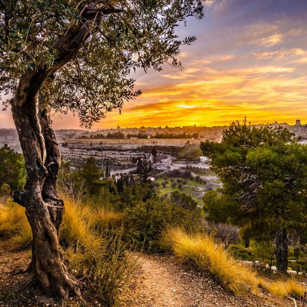 Rundreise durch Israel - Entdeckungen im Heiligen Land: Jerusalem