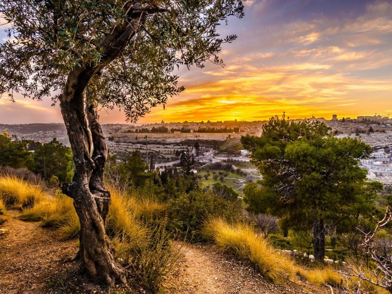 Rundreise durch Israel - Entdeckungen im Heiligen Land: Jerusalem