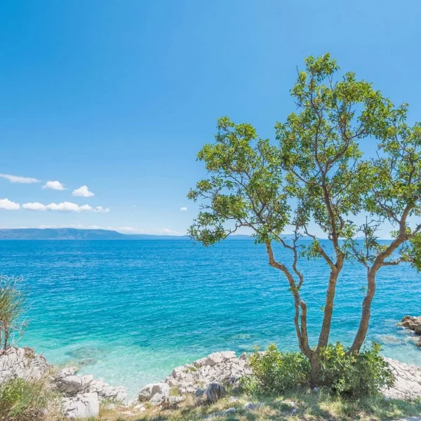 Die schönsten Nationalparks Kroatiens: Dalmatien