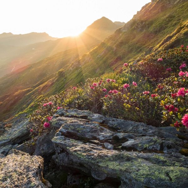 Osttiroler Alpenwunder