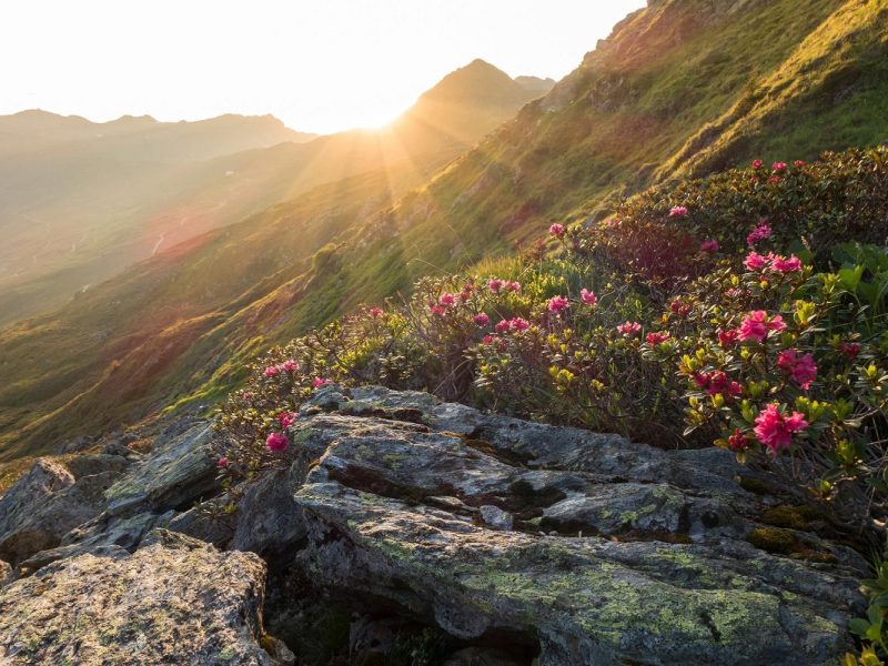 Osttiroler Alpenwunder