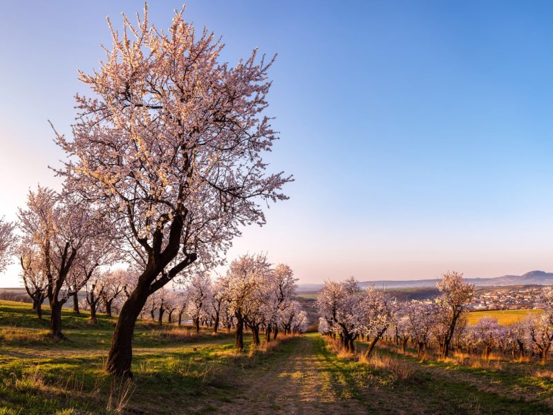 Busreise Wander- und Kulturrundreise Mähren