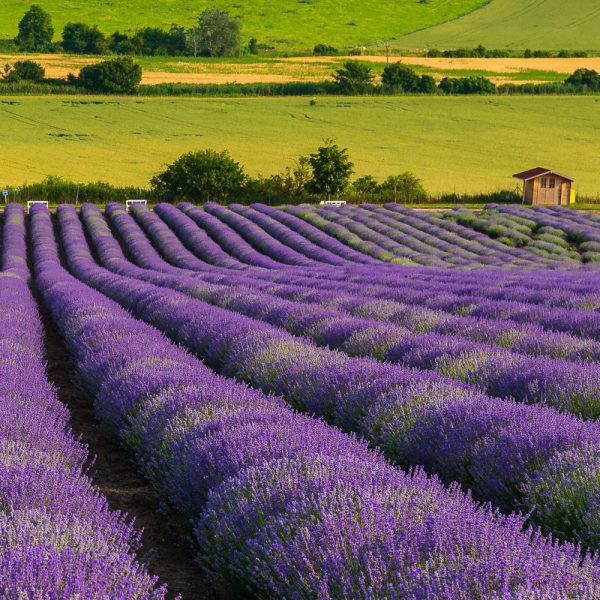 Busreise Wander- und Kulturrundreise Mähren