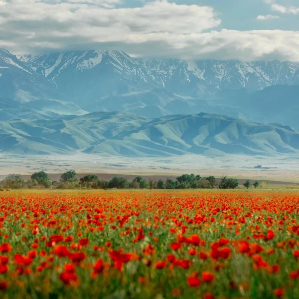 Kasachstan Entdeckungsreise ins Land der modernen Nomaden